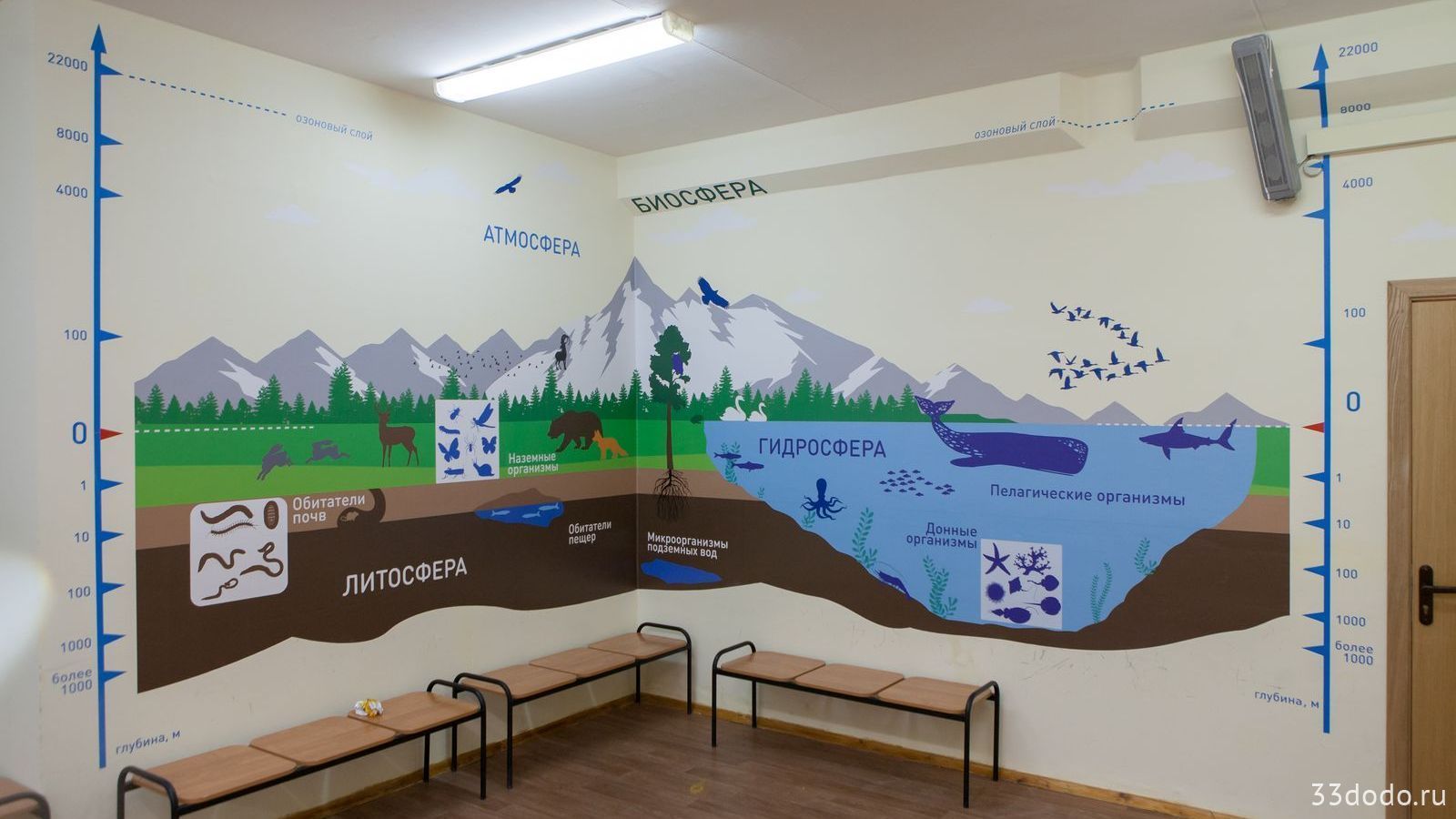 Оформление стен в школе, дизайн покраски - современные решения. Примеры  оформления школьных стен.